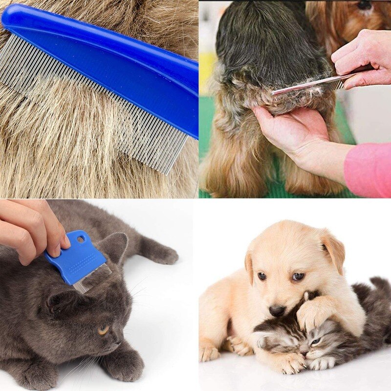 Ensemble de Peigne anti-poux pour nettoyage en acier inoxydable pour animaux de compagnie_3